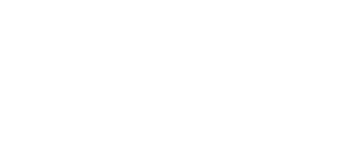 First Istanbul Logo